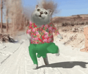 微信圖片_20200306110457.gif